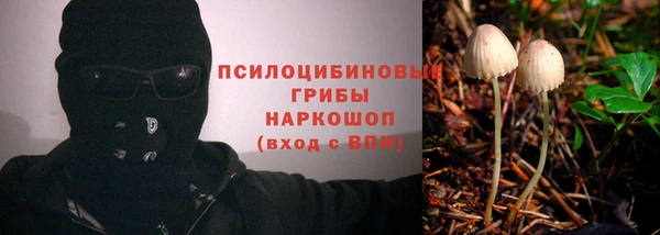гидра Алзамай
