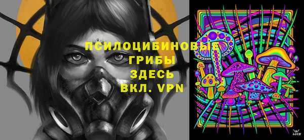 а пвп мука Абаза